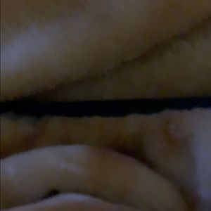 Meet your Posher, Lynnette